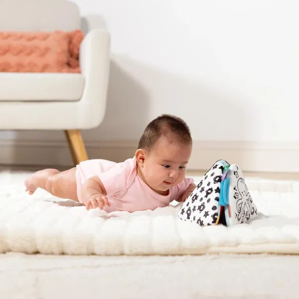660-3620 Product Image 5