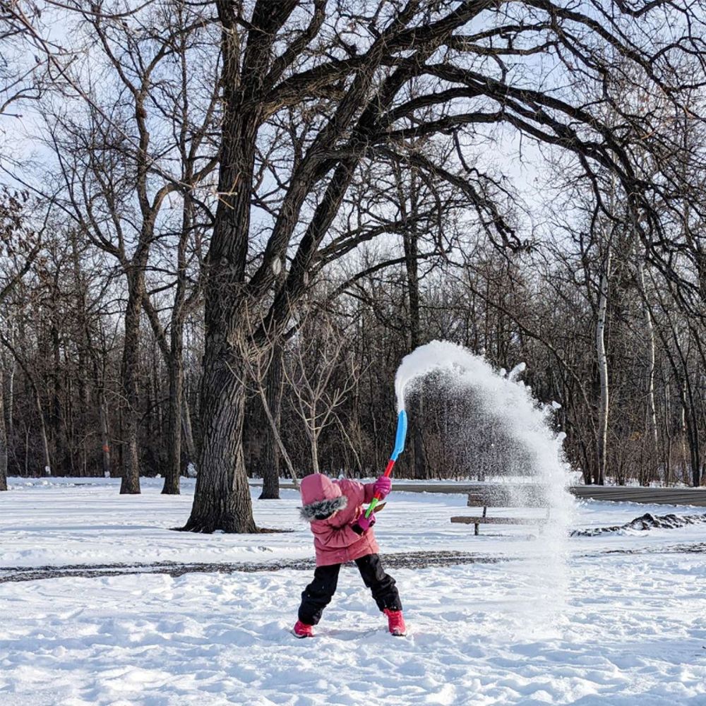 Product 660-3679 - View 4 660-3679 Product Image 4