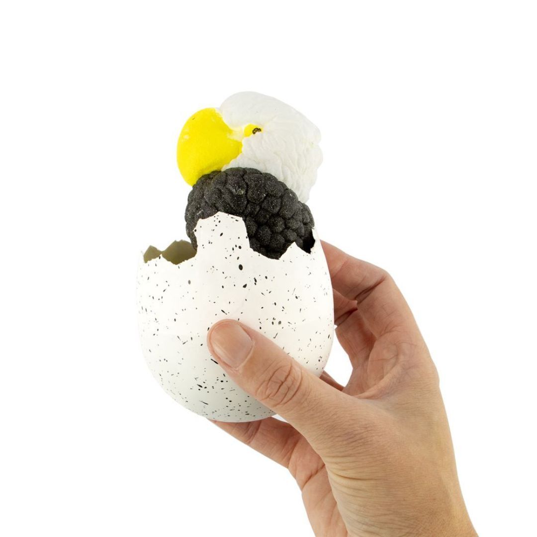 660-3832 Product Image 2