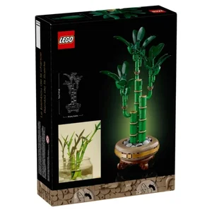 Botanicals Lucky Bamboo