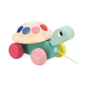 Zigolos Pull-Along Turtle