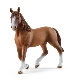Cheval de Selle Mare