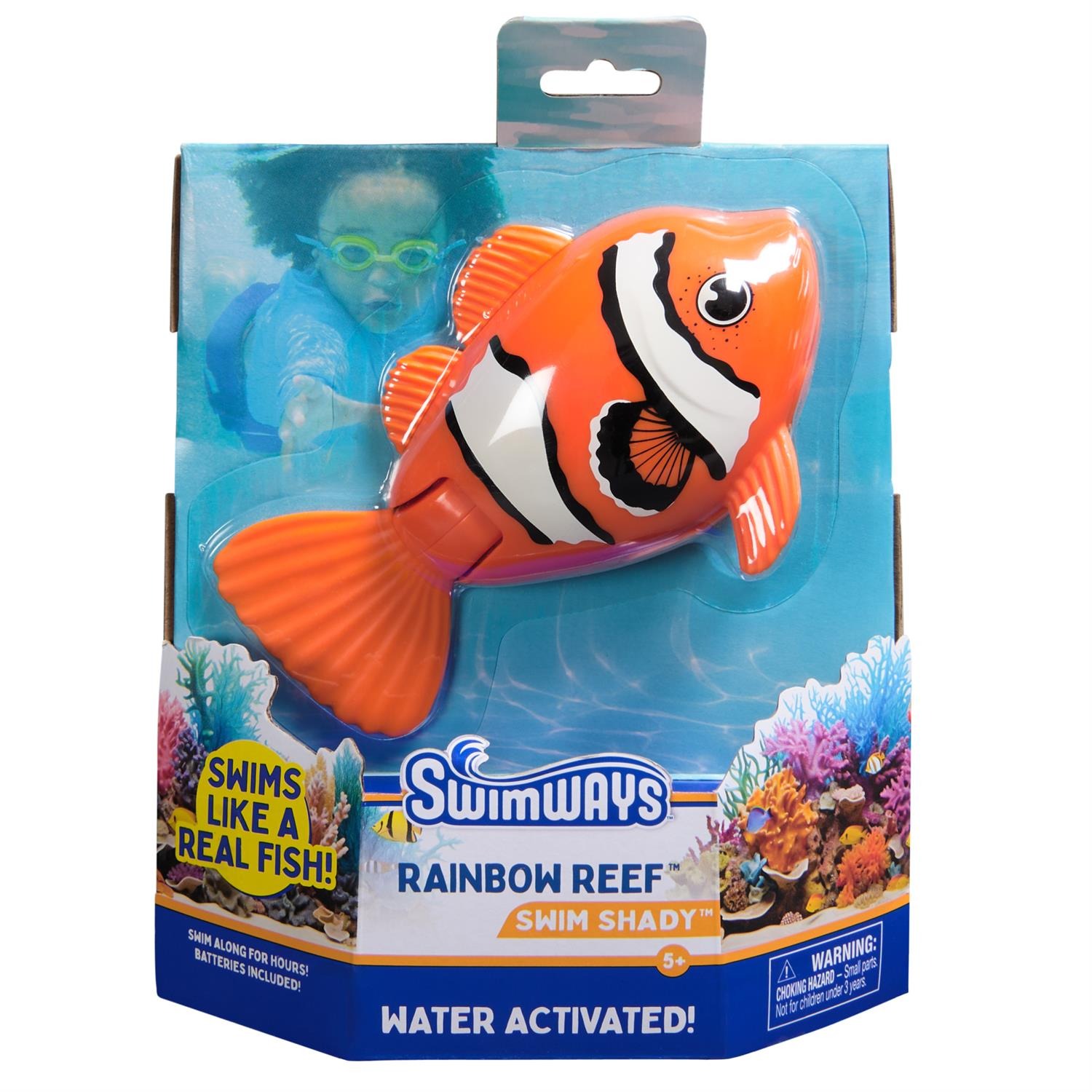 Rainbow Reef Fish Assorted