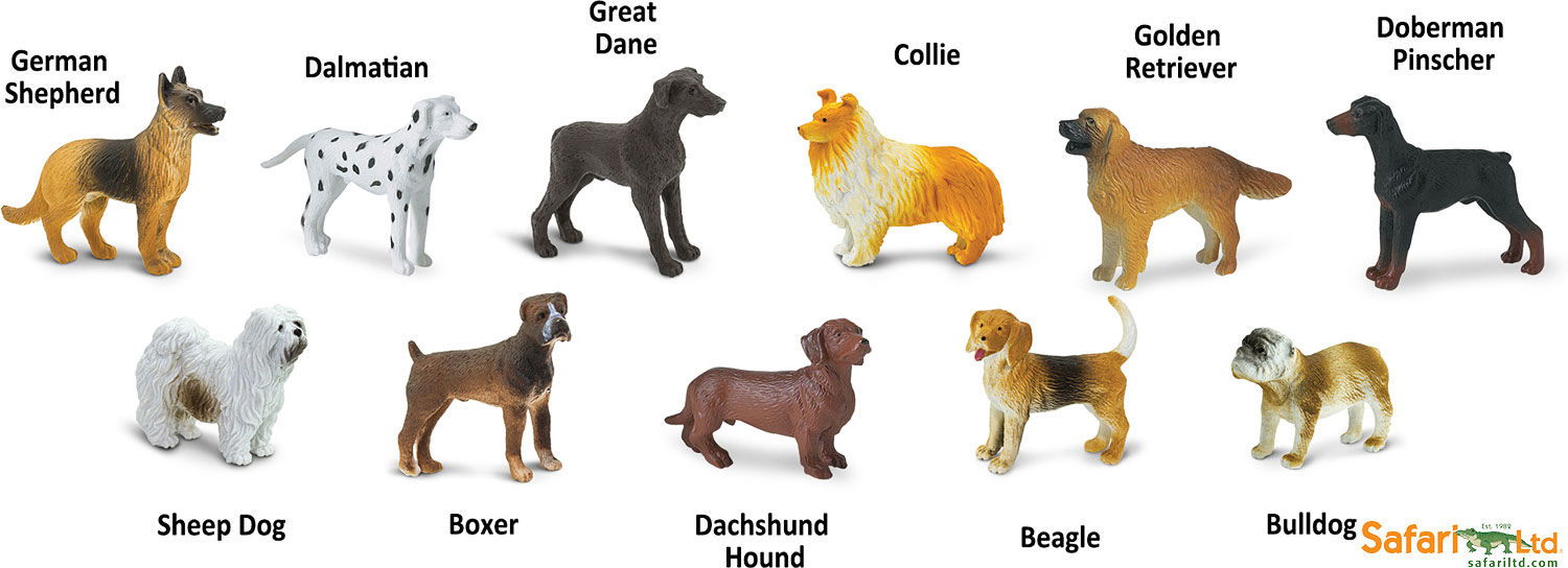 Product 662-0003 - View 1 662-0003 Product Image 1