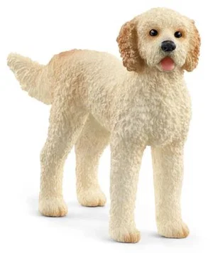 Goldendoodle