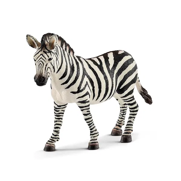 662-0013 Product Image 1