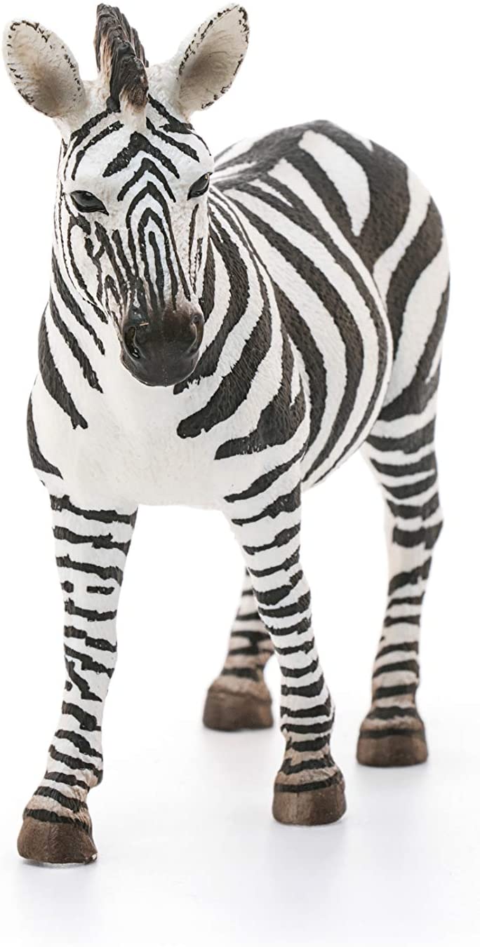 662-0013 Product Image 4