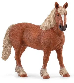 Belgian Draught Horse