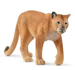 Cougar