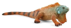 Iguana