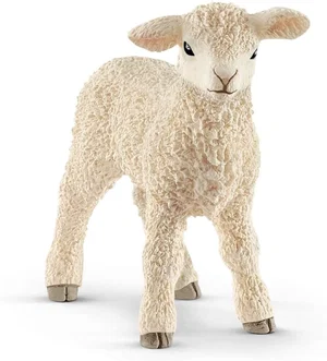 Lamb
