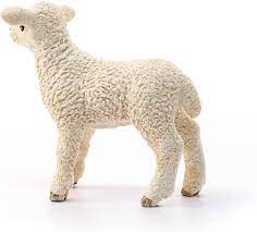 662-0036 Product Image 3