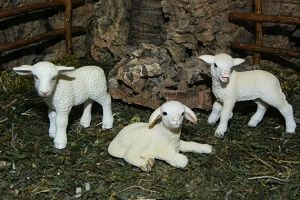 Product 662-0036 - View 4 662-0036 Product Image 4