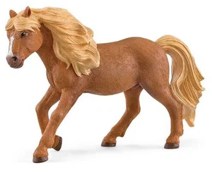 Icelandic Pony Stallion