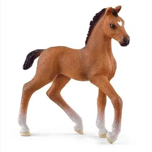 Oldenburger Foal