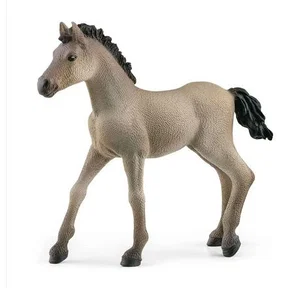 Criollo Definitivo Foal