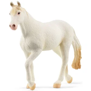 Camarillo Mare