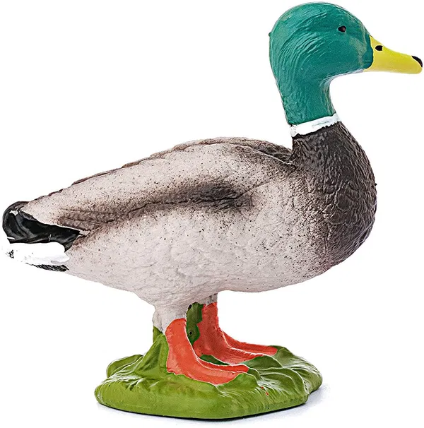 662-0071 Product Image 2