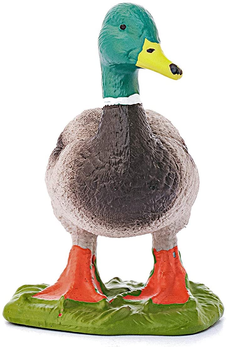 Product 662-0071 - View 4 662-0071 Product Image 4