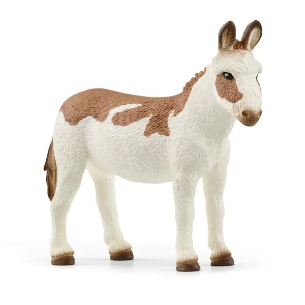 662-0072 Product Image 1