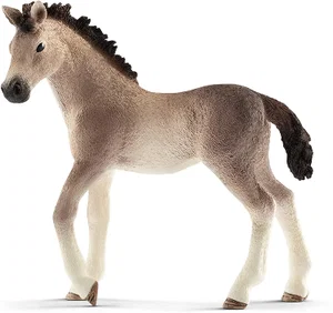 Andalusian Foal