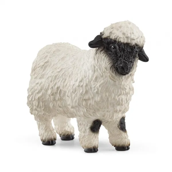 662-0081 Product Image 1