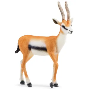 Thomson Gazelle