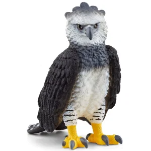 Harpy Eagle