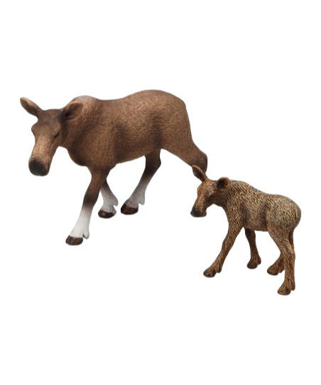 662-0096 Product Image 1