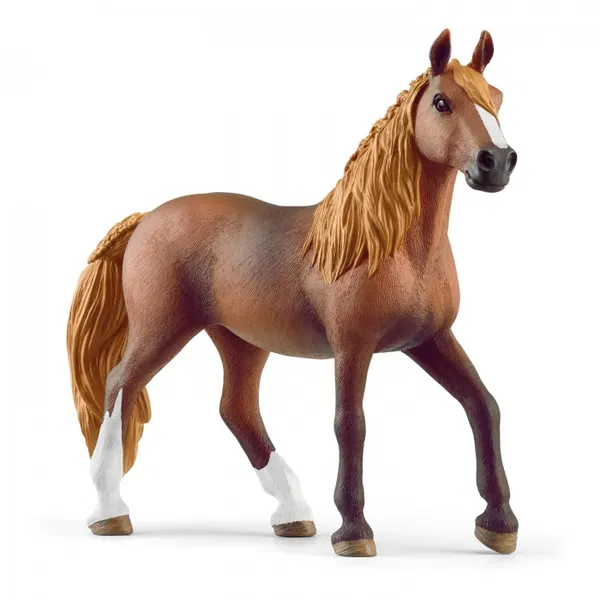 662-0098 Product Image 1