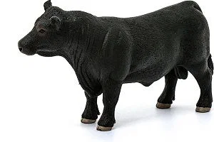 Black Angus Bull