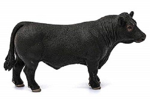 Product 662-0145 - View 5 662-0145 Product Image 5