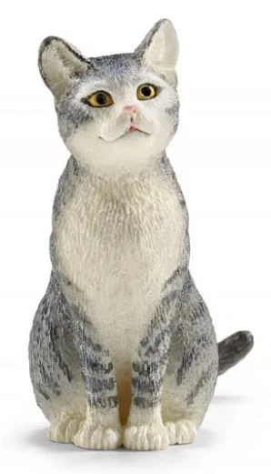 Grey Cat, Sitting
