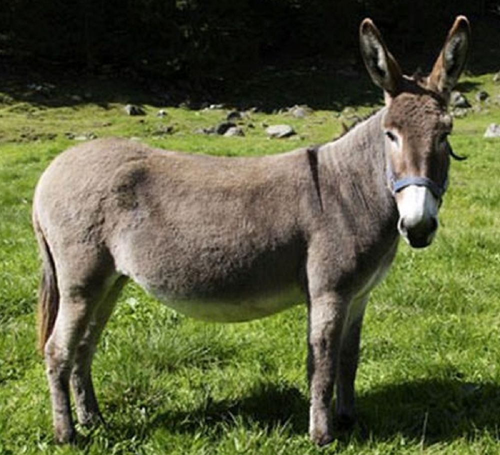 662-0150 Product Image 5