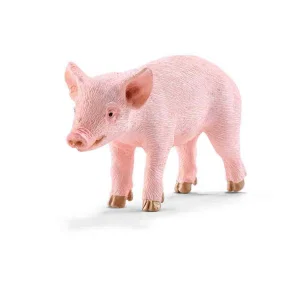 Piglet Standing