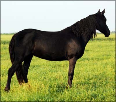 662-0161 Product Image 5