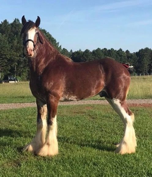 Product 662-0166 - View 6 662-0166 Product Image 6