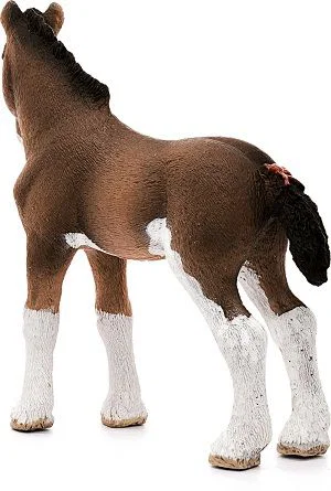 Clydesdale Foal