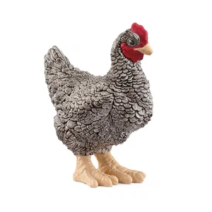 Plymouth Rock Chicken