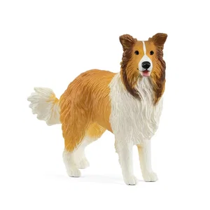 Collie