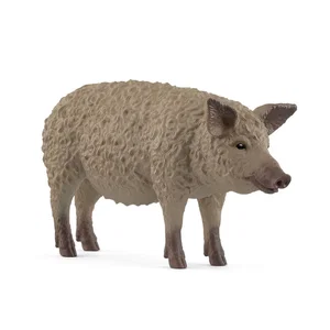 Mangalica Pig