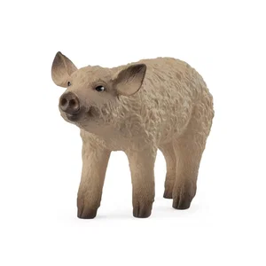 Mangalica Piglet