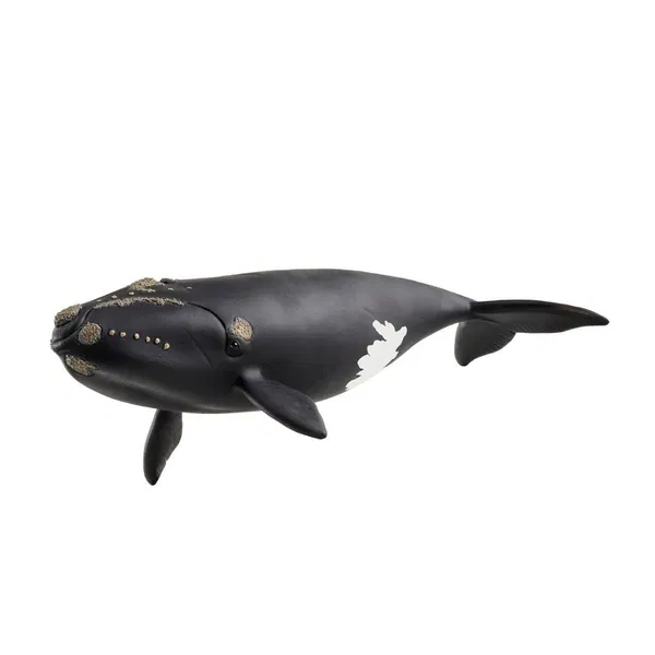 662-0207 Product Image 1