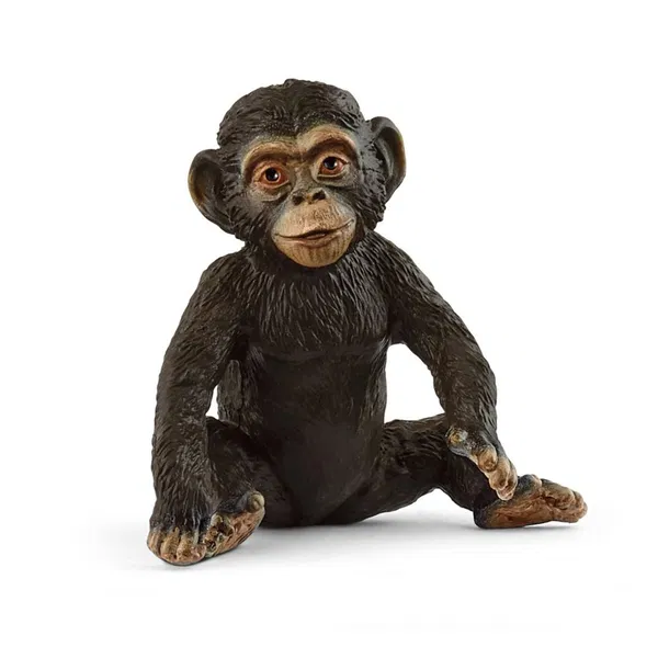 662-0216 Product Image 1