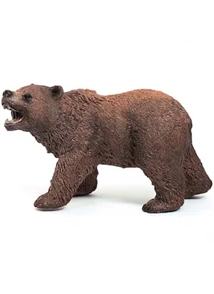 Grizzly Bear