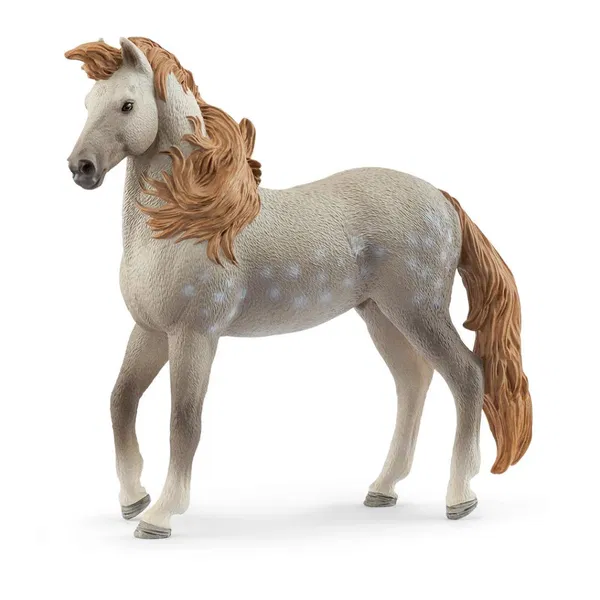 662-0243 Product Image 1