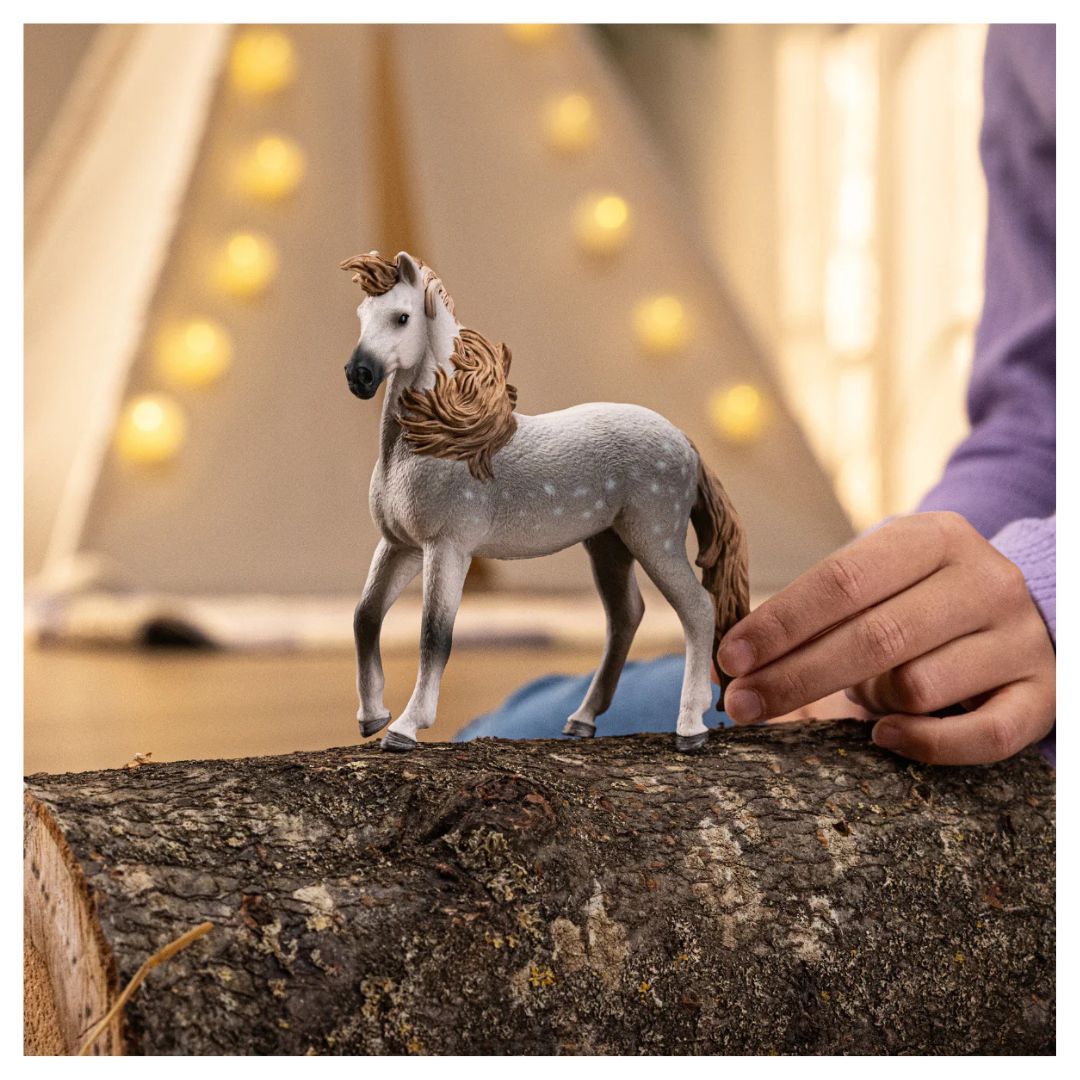 662-0243 Product Image 2