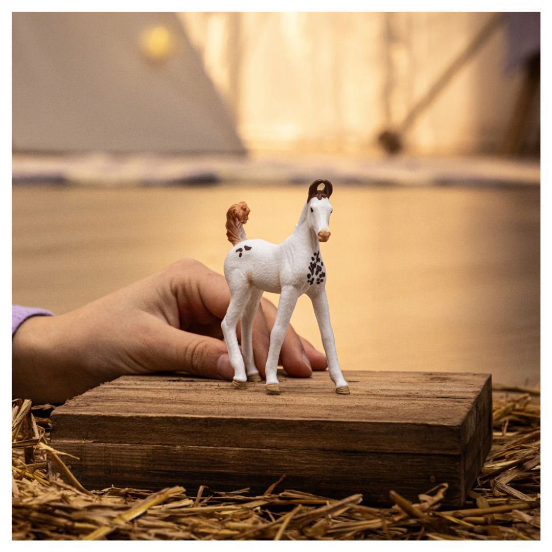 662-0244 Product Image 2