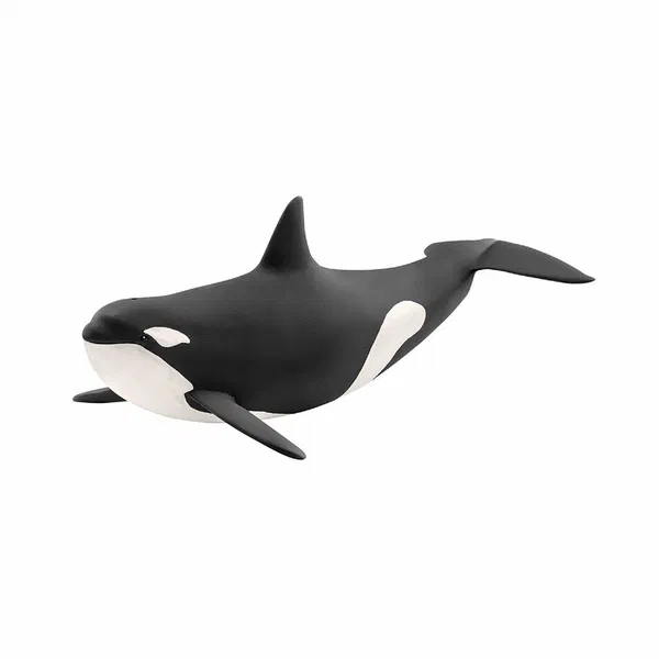 662-0247 Product Image 1