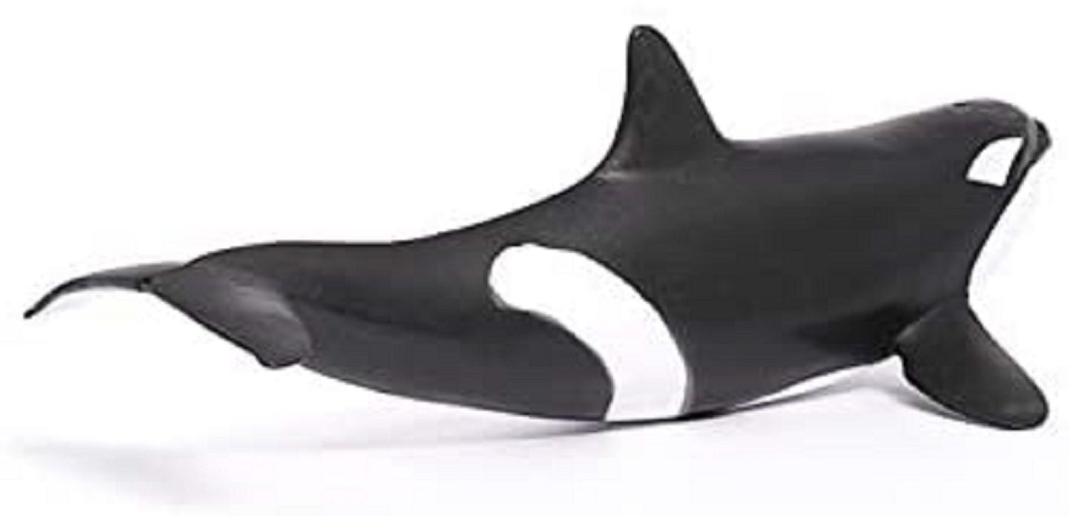 662-0247 Product Image 4